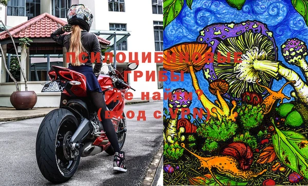 гашик Куйбышев