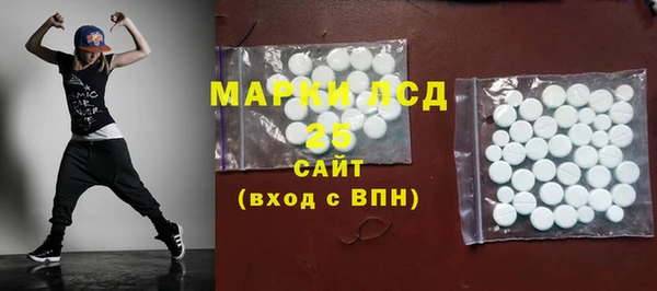 ГАЛЛЮЦИНОГЕННЫЕ ГРИБЫ Карабаново