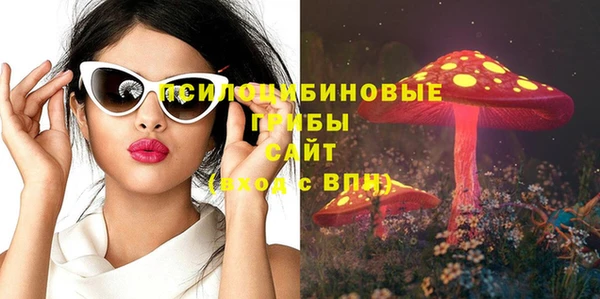 гашик Куйбышев