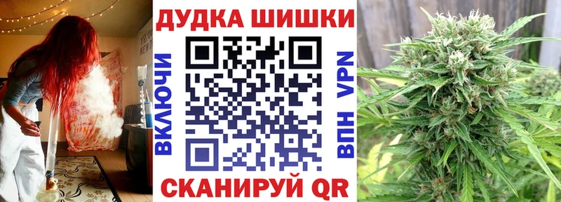 где найти наркотики  Мглин  ОМГ ОМГ tor  Шишки марихуана SATIVA & INDICA 